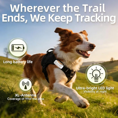 Next-Gen GPS Dog Tracker + 36-Month Plan | Real-Time Location & Escape Alerts | - Image 2