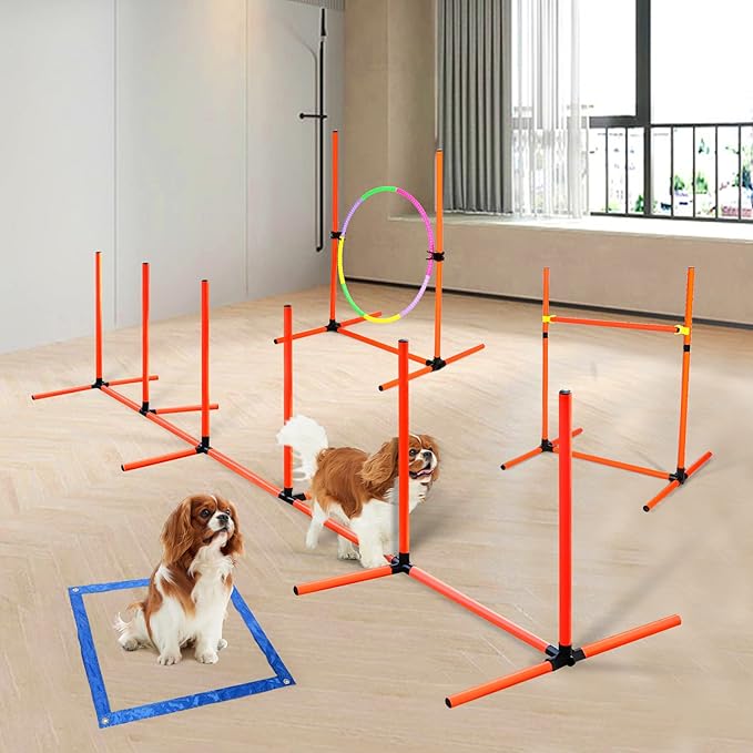 Dog Agility Course Backyard Set, 4 Sets Pet Agility Training Equipment - Image 8