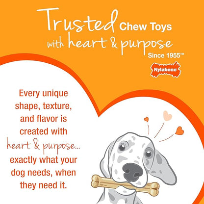 Nylabone Ring Bone Chew Toy for Puppies, Puppy Teething Toys, Puppy Enrichment - Image 10