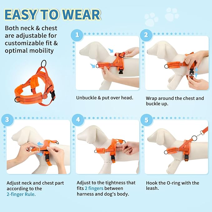 Lukovee No Pull Dog Harness and Leash Set, Soft Padded Small Dog Harness - Image 9