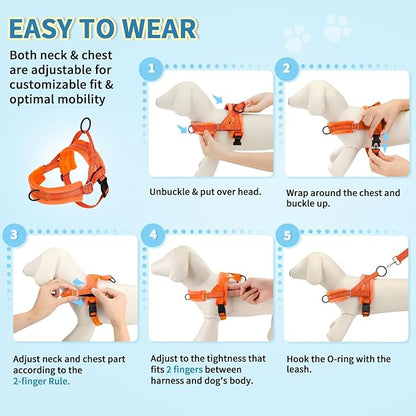 Lukovee No Pull Dog Harness and Leash Set, Soft Padded Small Dog Harness - Image 9