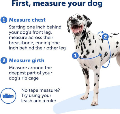 PetSafe Easy Walk No-Pull Dog Harness - Image 4