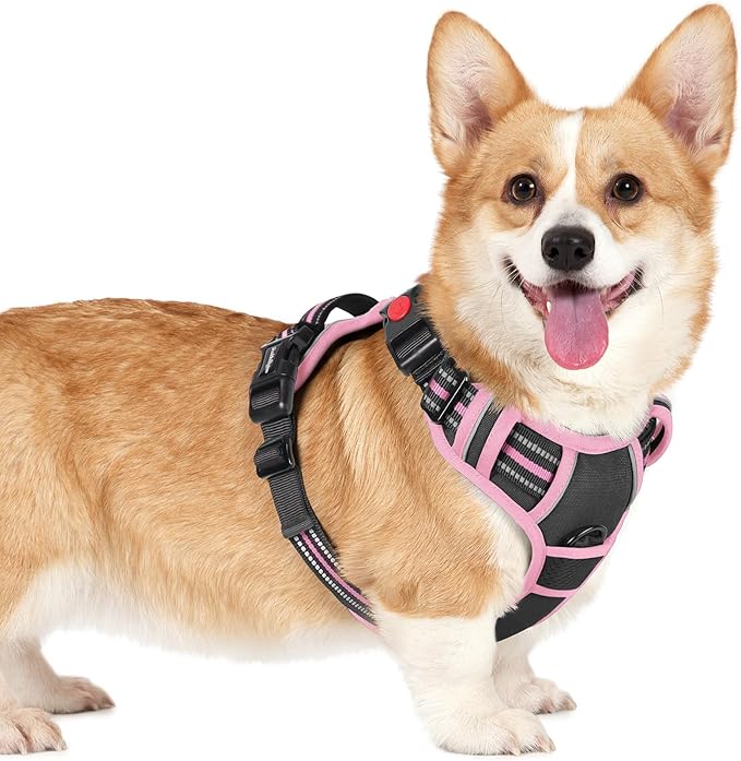 rabbitgoo Dog Harness Small Sized, No Pull Easy On & Off by rabbitgoo