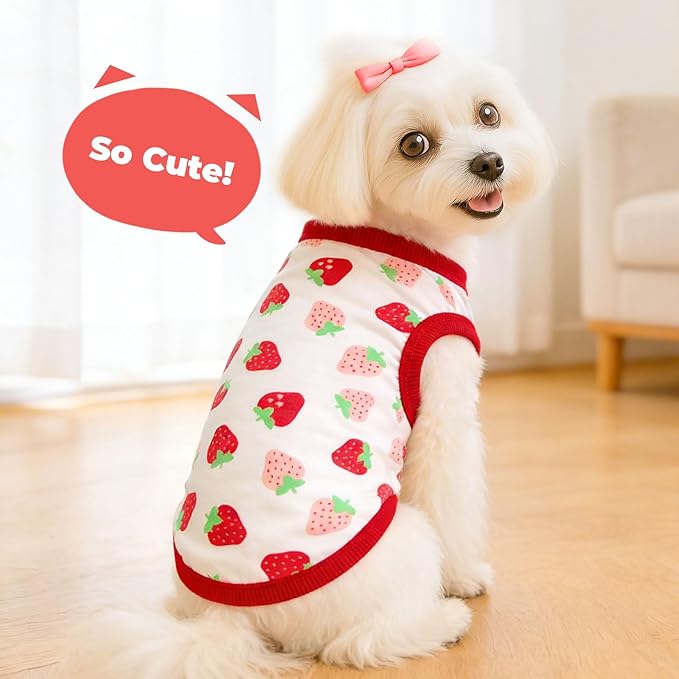 PETCARE Cartoon Dog Shirts for Small Dogs Cute Dog Clothes Red Strawberry - Image 3