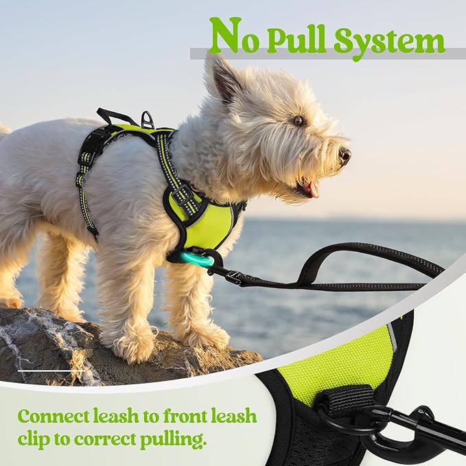rabbitgoo Dog Harness No Pull - Image 5