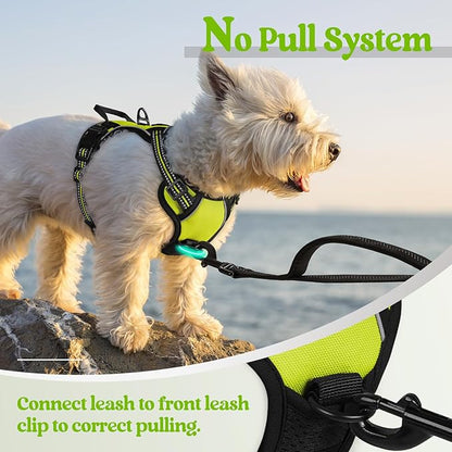 rabbitgoo Dog Harness No Pull - Image 5