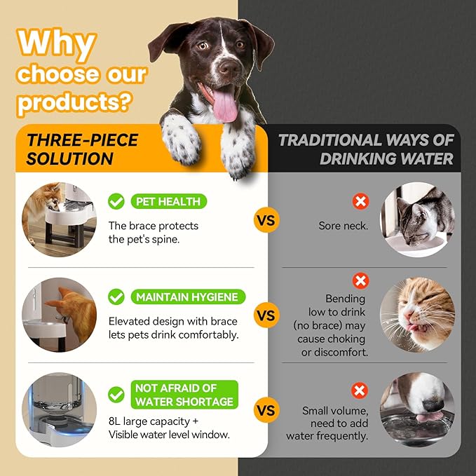 CZPET Elevated Dog Water Bowl Dispenser - Image 2