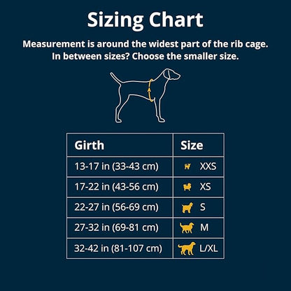 Ruffwear, Web Master, Hiking and Trail Running, Service and Working, Everyday - Image 2