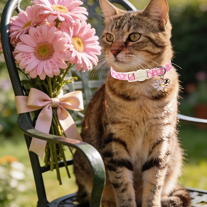 2 Pack Pink Floral Cat Collars Breakaway - Image 6