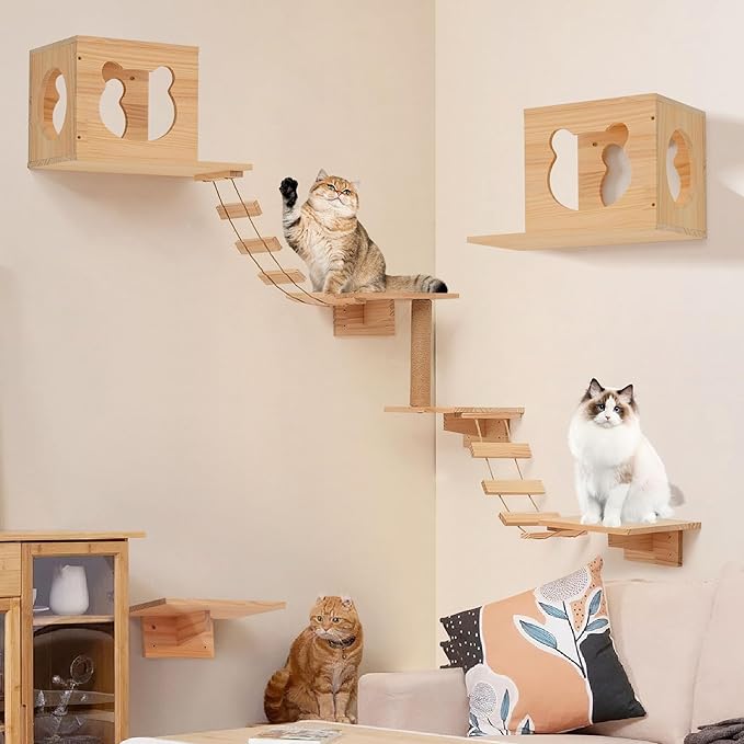 PETKABOO Cat Wall Shelves and Perches, Pine Wooden Cat Wall Furniture Climbing - Image 8
