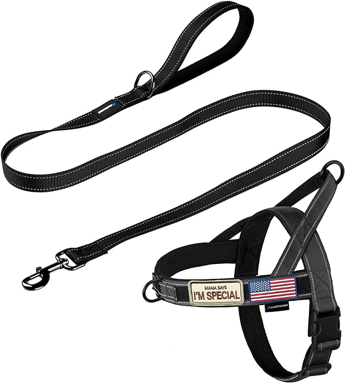 Annchwool No Pull Dog Harness by Annchwool