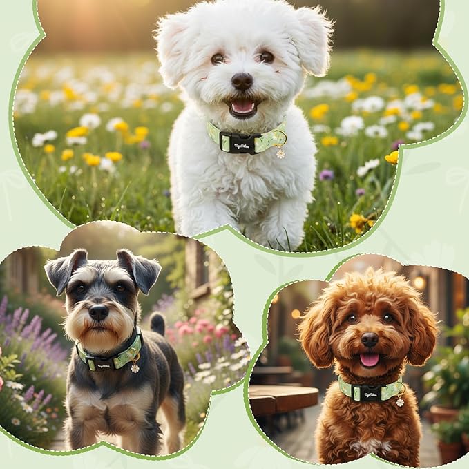 Dog Collar with Daisy Patterns, Spring Summer Collection Green Dog Collar with - Image 5