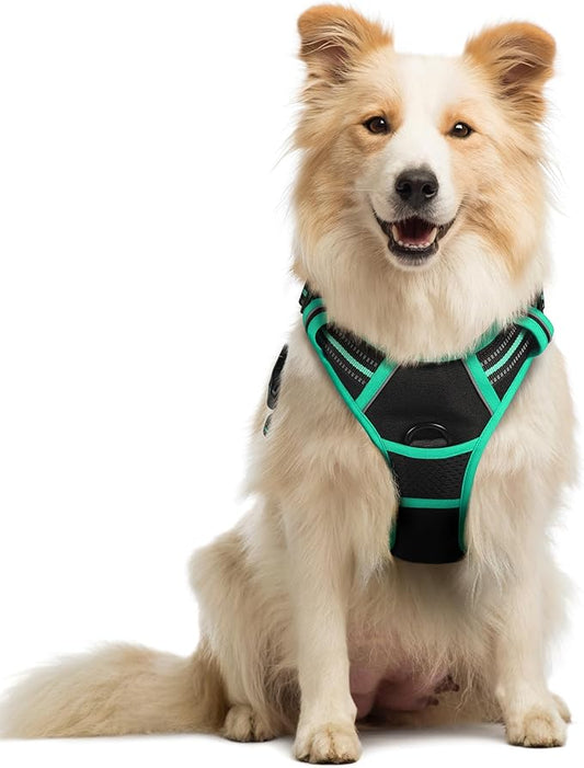rabbitgoo Dog Harness No Pull by rabbitgoo