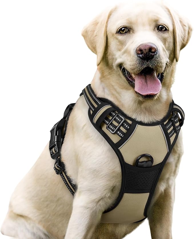 rabbitgoo Dog Harness No Pull by rabbitgoo