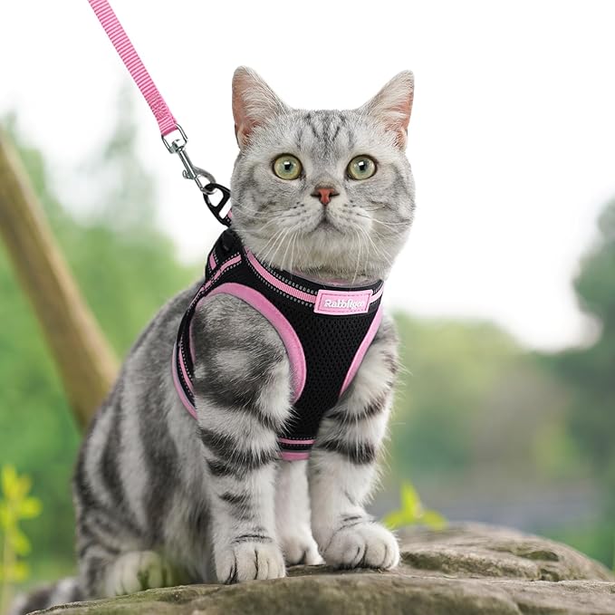 rabbitgoo Cat Harness and Leash, Step-in Escape Proof Kitten Harness Set - Image 9