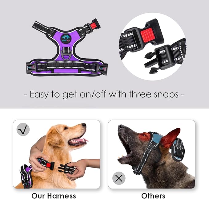 PHOEPET No Pull Dog Harnesses for Small Dogs Reflective Adjustable Front Clip - Image 3