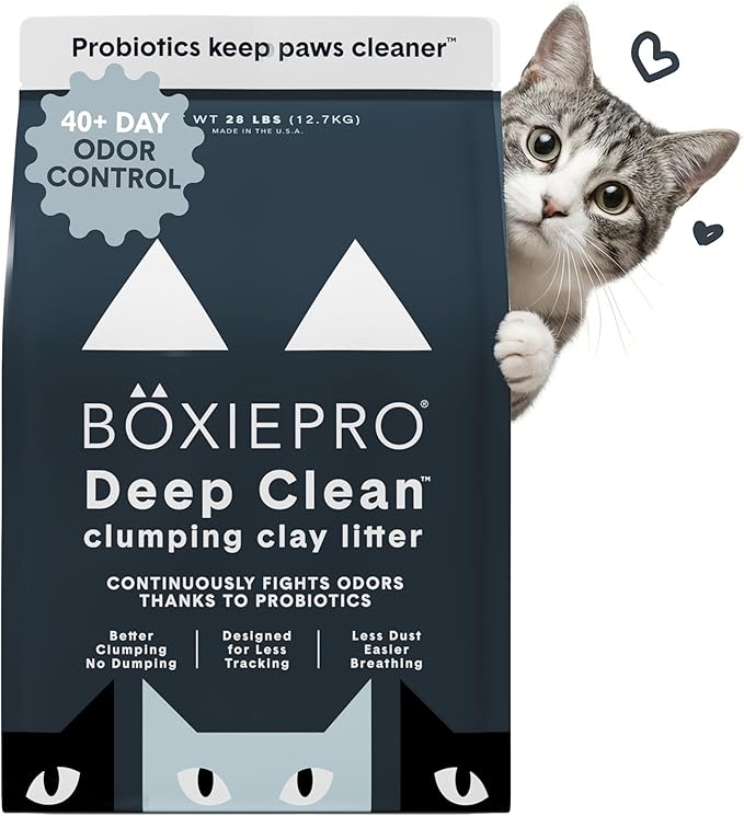 Boxie Probiotic Cat Litter, 40 Day Odor Control, Clumping Clay Kitty Litter by Boxiecat