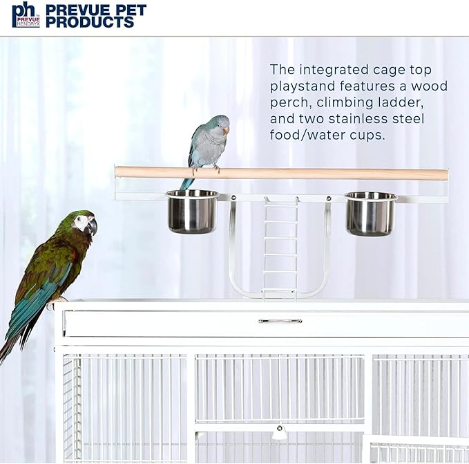 Prevue Pet Products Wrought Iron Select Bird Cage 3154C, Chalk White, 36-Inch - Image 5