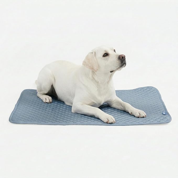 Spark Paws Cooling Mat for Dogs by SparkPaws