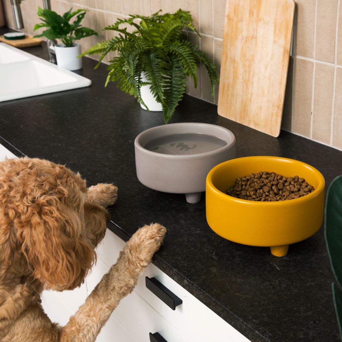 Waggo Uplift Ceramic Dog Bowl for Small Medium and Large Breeds - Heavyweight and Durable Pet Food and Water Dish Crock, Dishwasher Safe, Modern, Elevated Feeder (Vintage Grey, Large)
