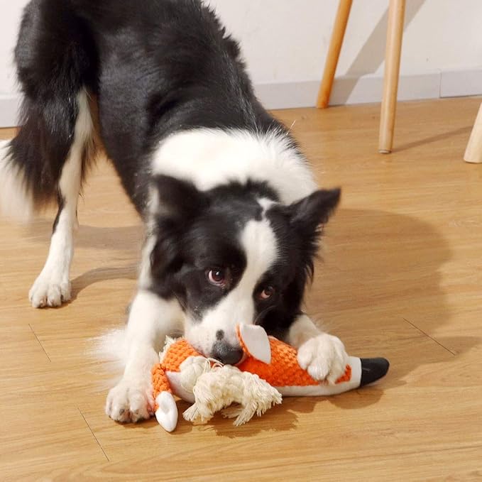 Sedioso Cute Squeaky Dog Toy, Stuffed Plush Toy - Image 5