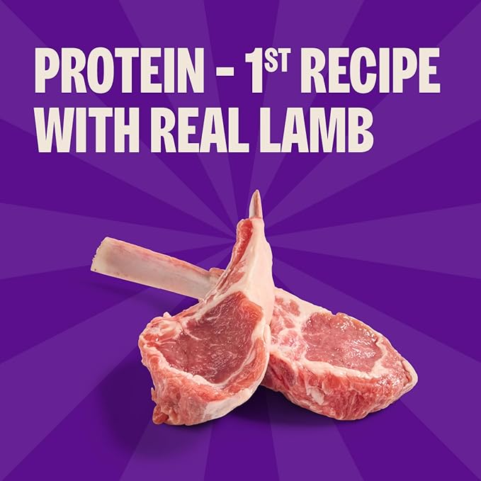 Wellness Soft Puppy Bites Dog Training Treats, Grain Free, Lamb and Salmon - Image 3