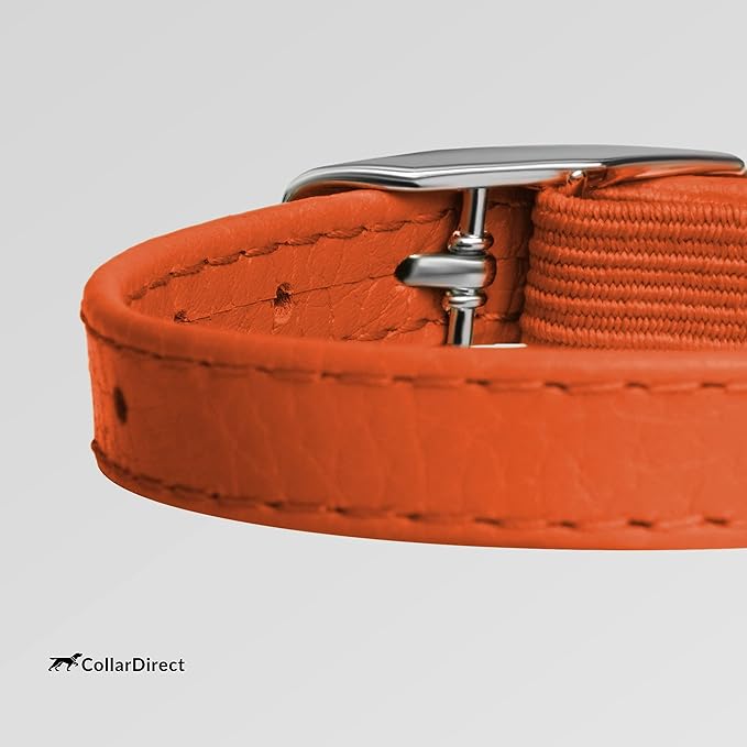 CollarDirect Leather Cat Collar - Image 4