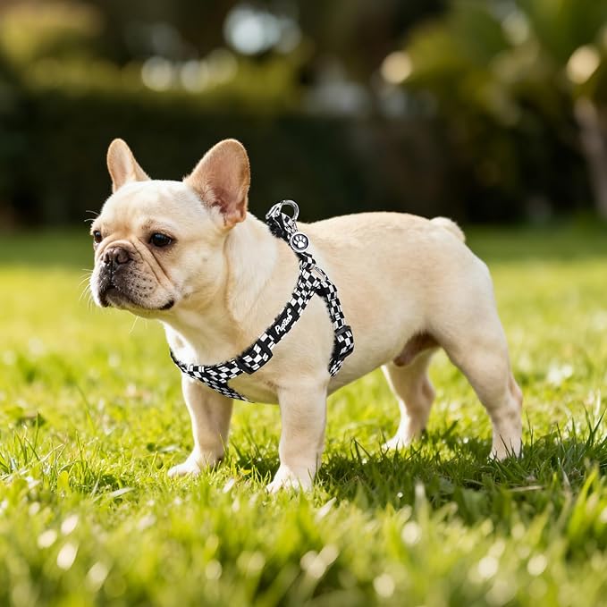 PUPTECK No Pull Dog Harness Soft Adjustable Basic Nylon Step in Puppy Vest - Image 6