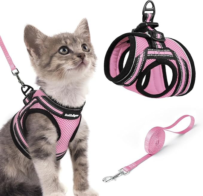 rabbitgoo Cat Harness and Leash Set by rabbitgoo
