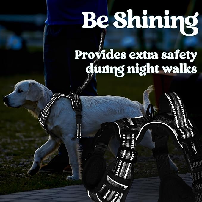rabbitgoo Dog Harness Small Sized, No Pull Easy On & Off - Image 9