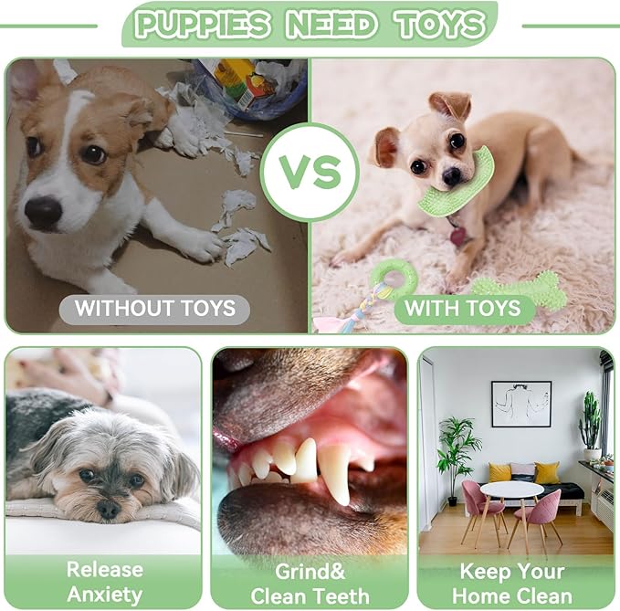 Petcare 6 Pack Small Dog Toys for Small Breed, Cute Green Puppy Teething Toys - Image 6