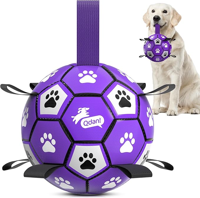 QDAN Soccer Ball for Dogs by QDAN