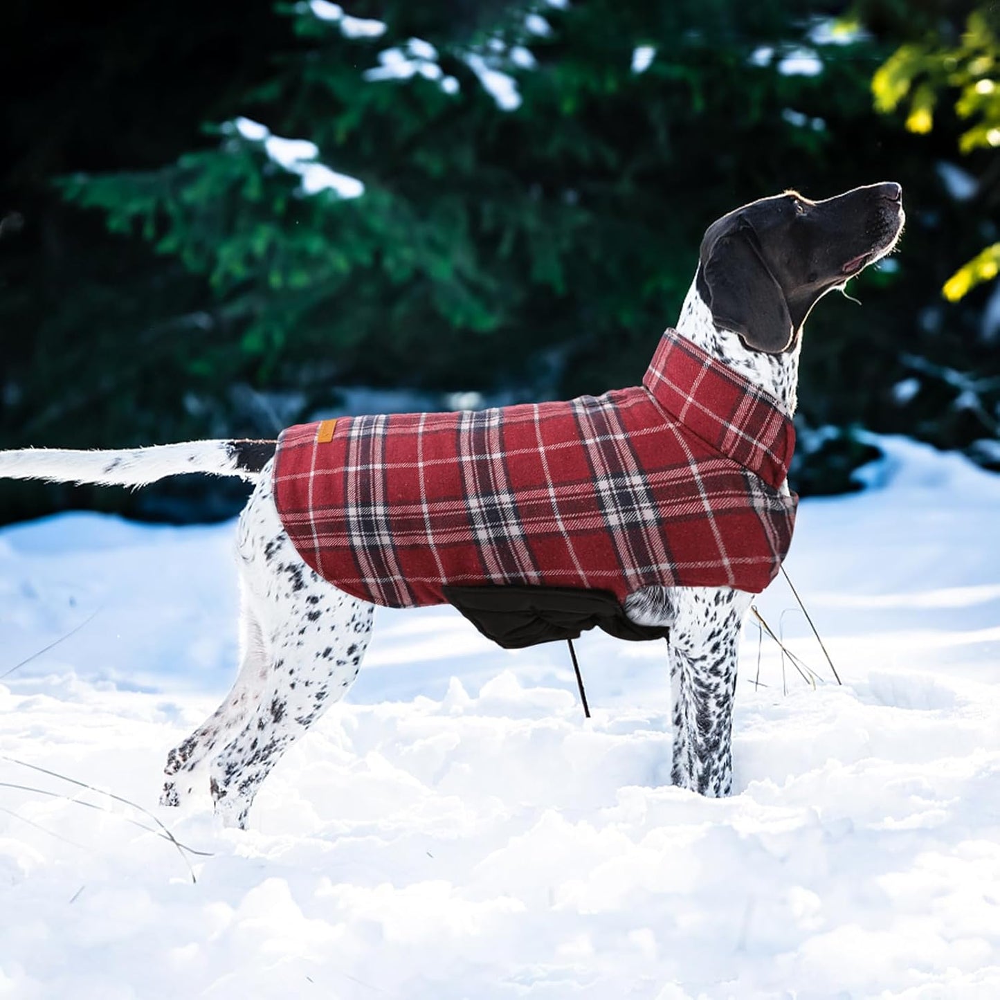 Kuoser Waterproof Dog Coat, Reversible Dog Jacket for Large Dogs, Adjustable Durable Doggie Winter Coat for Groowing Puppies Warm Puppy Cold Weather Apparel, Red L