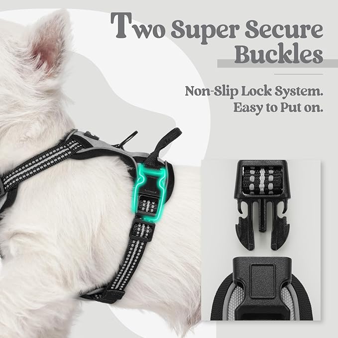 rabbitgoo Dog Harness No Pull - Image 3