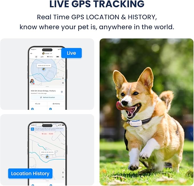 DBDD AI GPS Tracker for Dogs - Image 3
