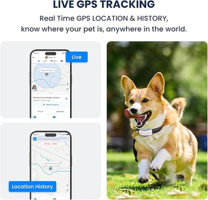 DBDD AI GPS Tracker for Dogs - Image 3