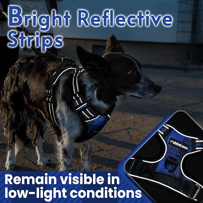 rabbitgoo Dog Harness No-Pull, Comfortable Padded Plaid Harness - Image 7