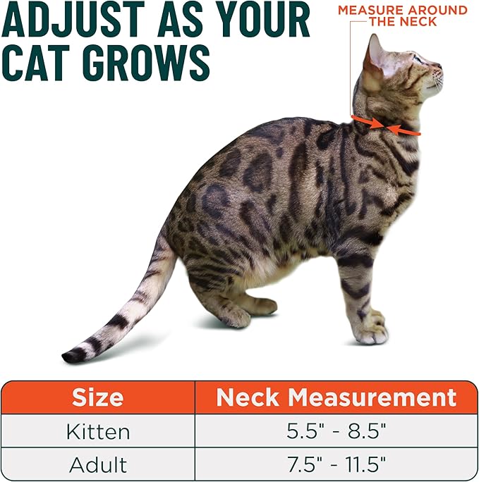 OutdoorBengal Green Breakaway Kitten Collar - Image 5
