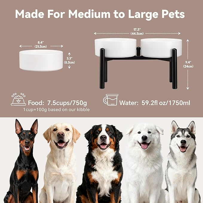 Dog Bowls Elevated - Image 2