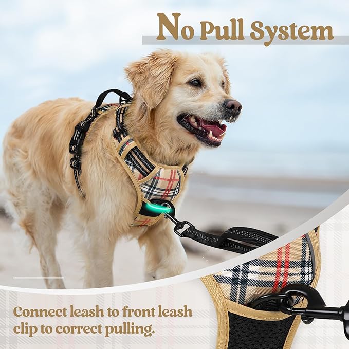 rabbitgoo Dog Harness No Pull - Image 5