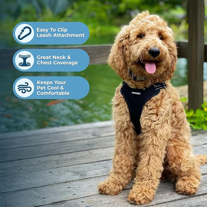 Best Pet Supplies Voyager Adjustable Step-in Flex Breathable Mesh Dog Harness - Image 5