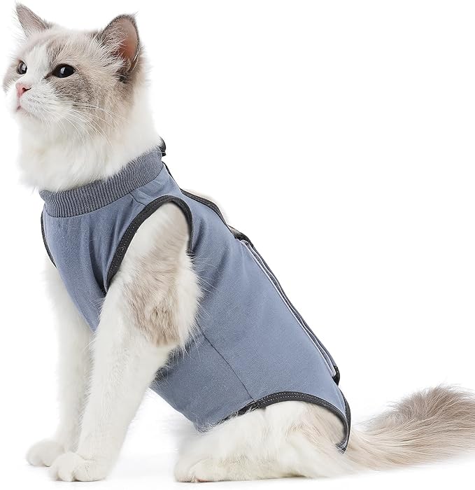 kzrfojy Cat Surgery Recovery Suit Cat Onesie by kzrfojy
