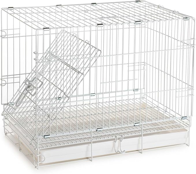 Durable Easy Portable Metal Travel or Veterinary Collapsable Parrot Bird - Image 8