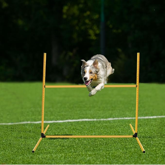 Halloscume 6 Pcs Dog Agility Training Equipments Dog Agility Jumps Hurdles - Image 5