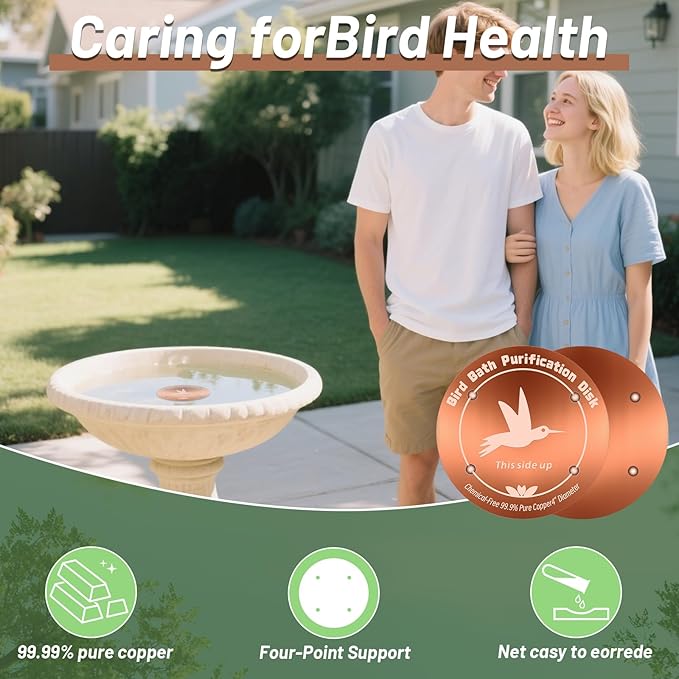 CTTZCKJ 3PCS Pure Copper Bird Bath Purification Disk - Image 5