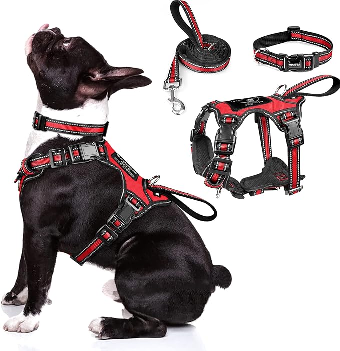 WINSEE Pet Harness Collar and Leash Set, All-in-one Reflective Dog Harness No by WINSEE