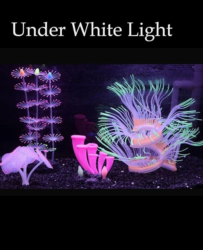 ZtohPyo 4 Pieces Aquarium Fish Tank Decorations - Image 4
