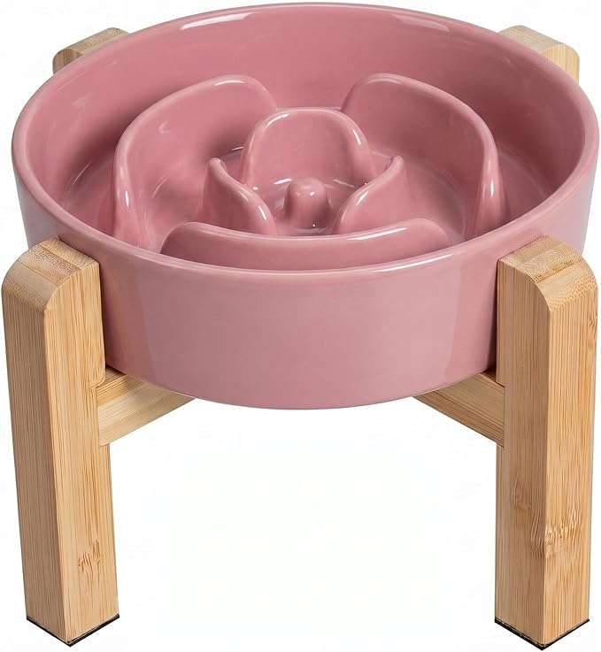 Elevated Slow Feeder Dog Bowl by PTOBER
