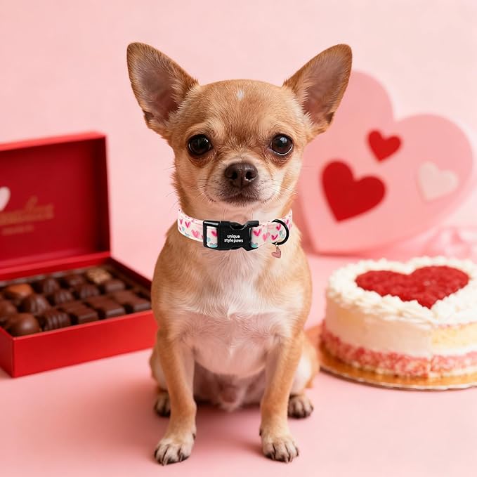 Unique Style Paws Valentine Dog Collar Plastic Buckle - Image 5