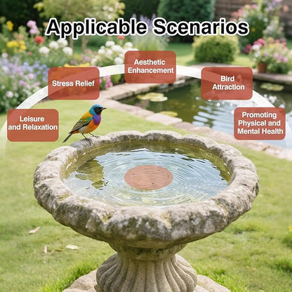 Bird Bath Copper Disc- Reinforced 99.99% Pure Copper Bird Bath Purification - Image 5